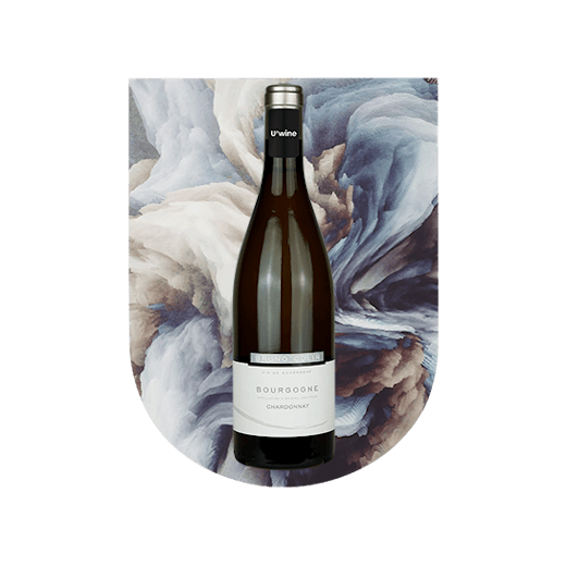 Burgundy wine on sale: Domaine Bruno Colin - White 2019